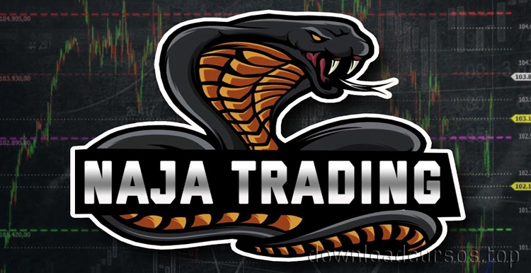 naja trading